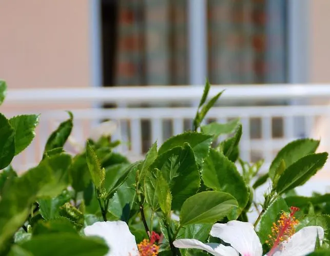 Diagoras 3* 法里拉基